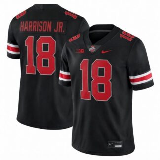 Will Howard Ohio State Buckeyes Nike Alternate Game Jersey - Black