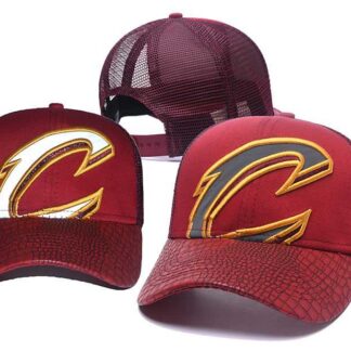 Cleveland Cavaliers Team Logo Adjustable Hat GS (29)