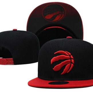 Toronto Raptors Team Logo Adjustable Hat GS (1)